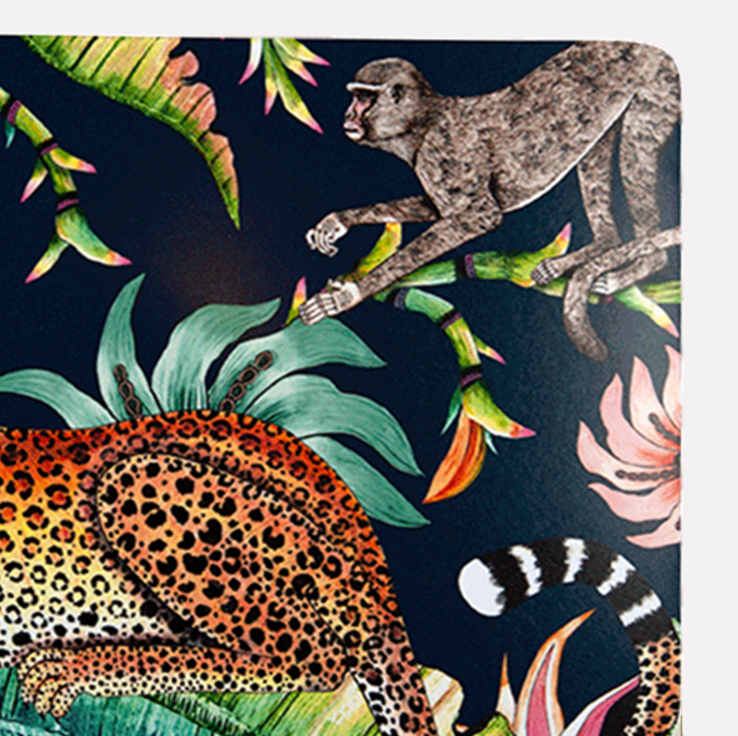 Monkey Paradise Moonlight Pair (Hard Board Placemats )