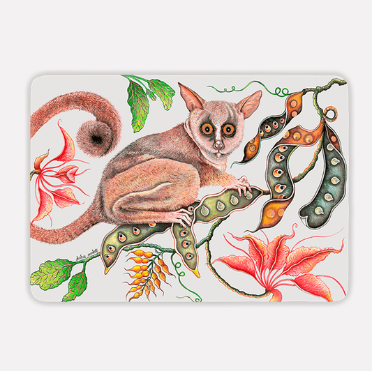 A hardboard placemat featuring an intricate illustration of a bush baby with wide, expressive eyes, perched on a branch surrounded by delicate seed pods and vibrant pink flowers, set against a soft chalk-white background.