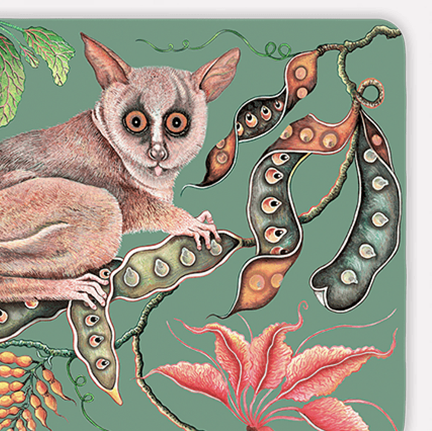 Camp Critters Bush Baby Jade Pair (Hard Board Placemats )