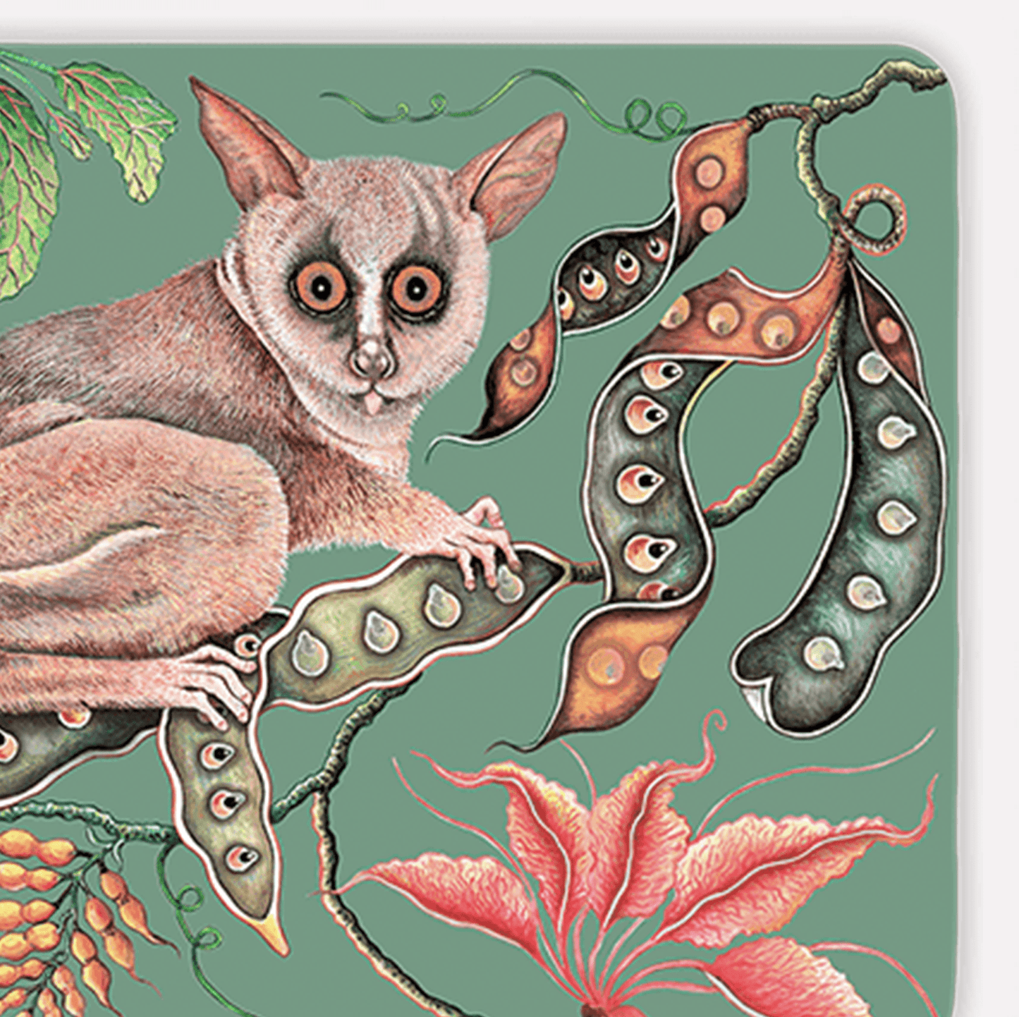 A variation of the main placemat design, focusing on the bush baby’s expressive face and surrounding botanical elements, emphasising the artwork’s detail and texture.