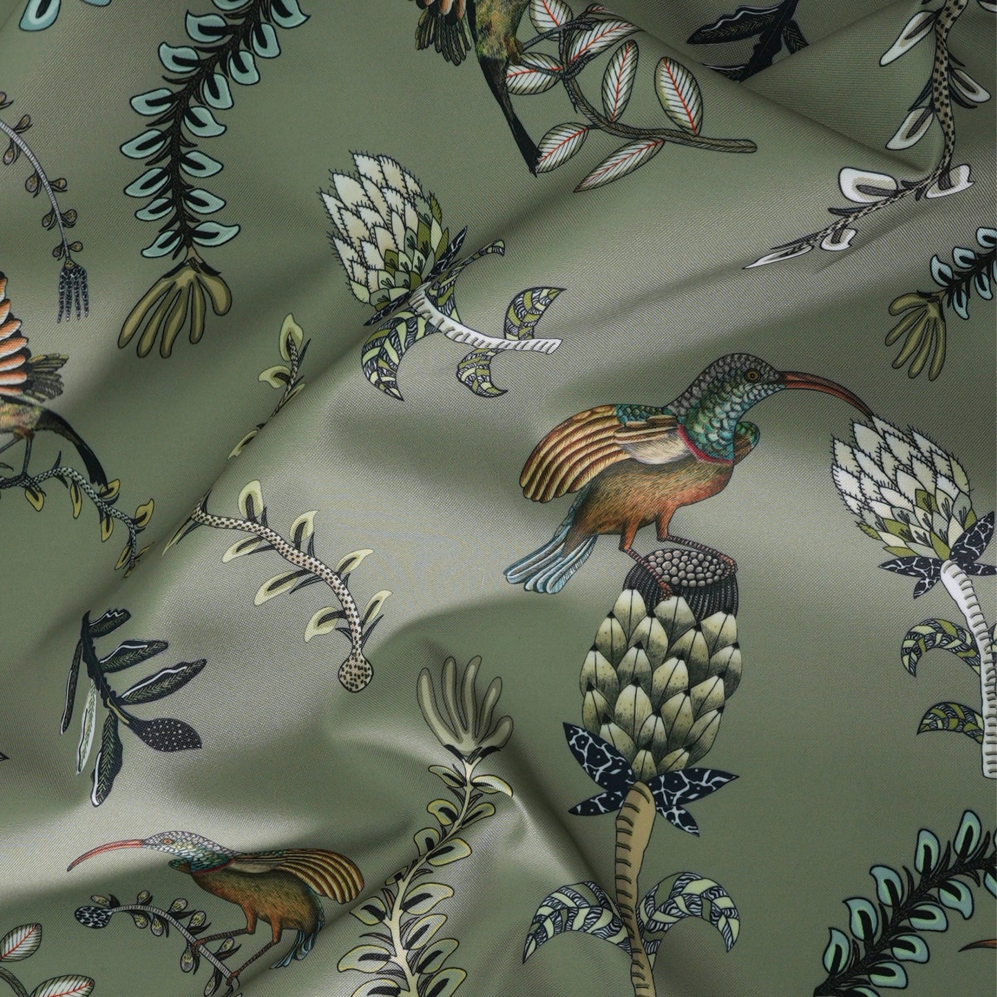 Protea Garden Outdoor in Delta