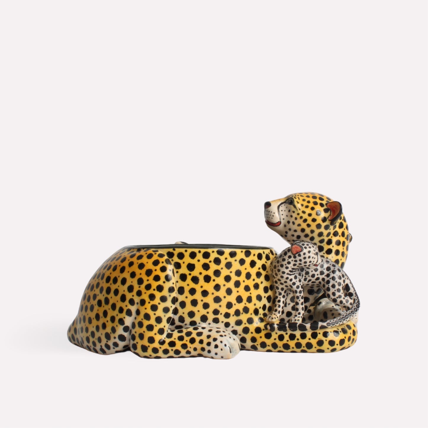 Cheetah Bowl