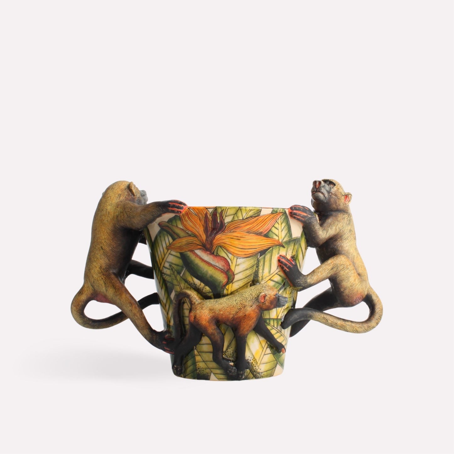 Baboon Orchid Planter