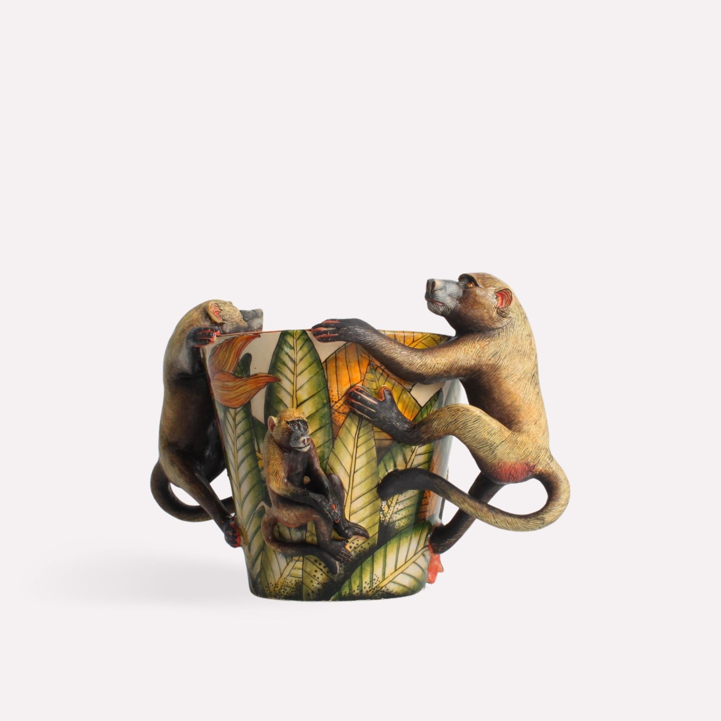 Baboon Orchid Planter