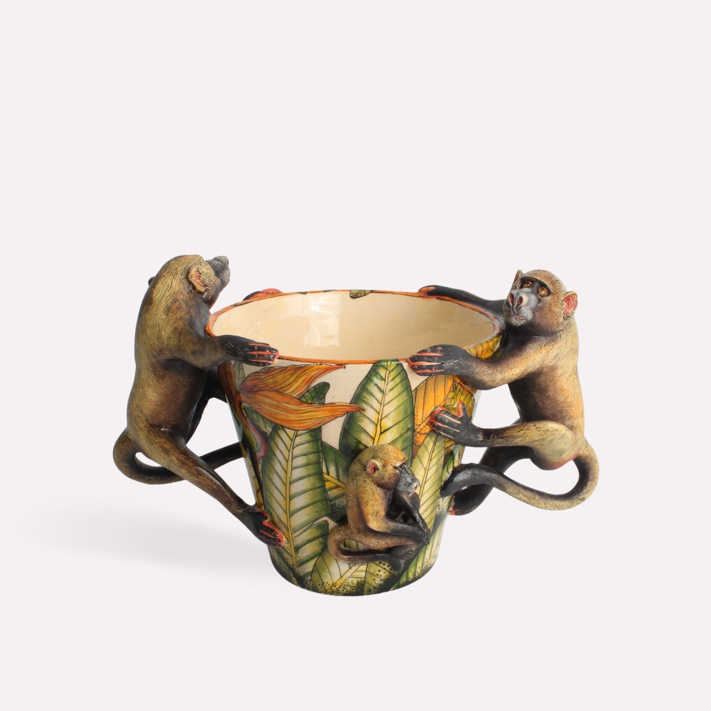 Baboon Orchid Planter