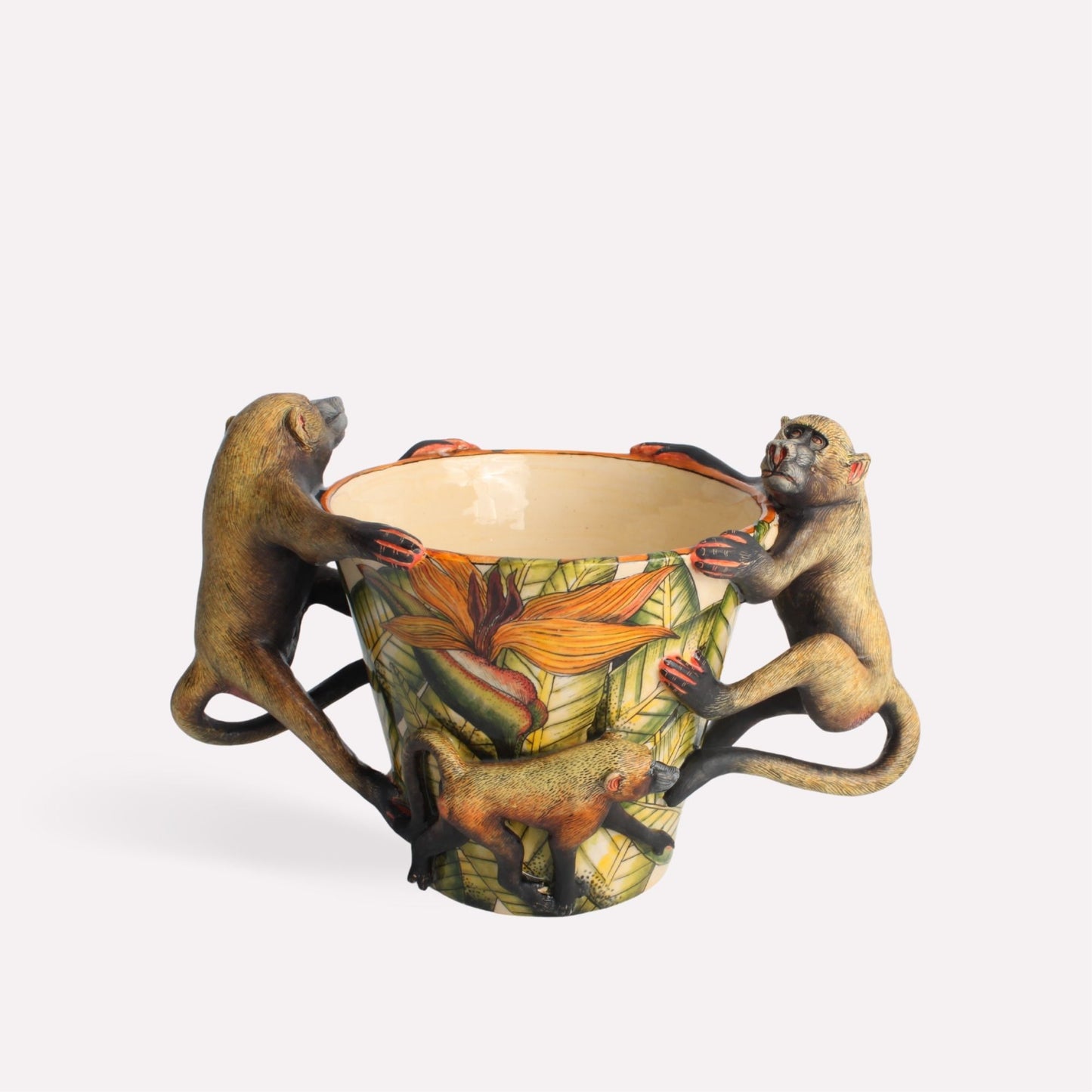 Baboon Orchid Planter