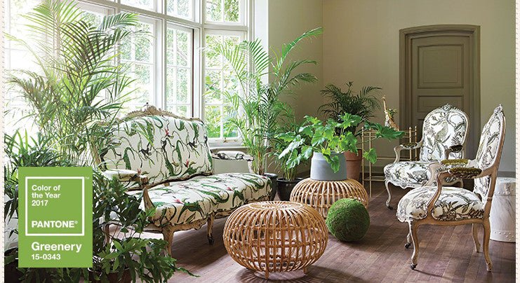 Shop Pantone Colour of the Year 2017 - Greenery
