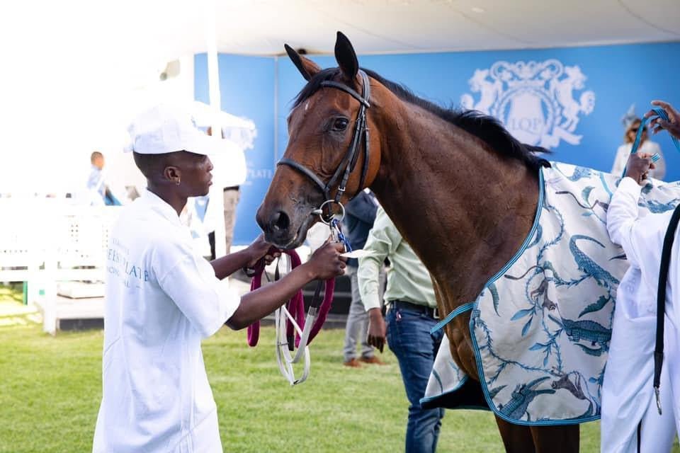 L'Ormarins Queen's Plate-Ardmore Design