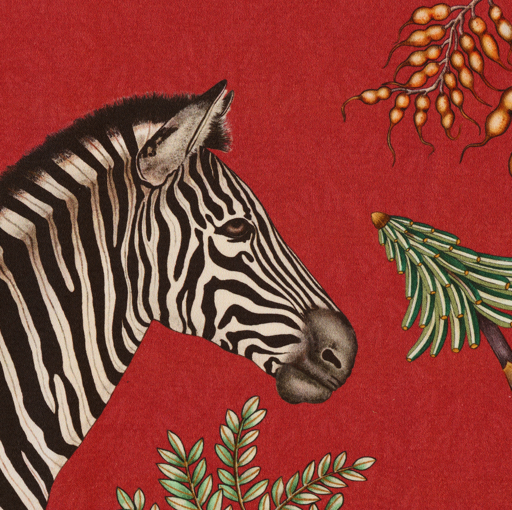 A close-up of the Ardmore Thanda Stripe Napkin in Royal Red, highlighting the majestic zebra set against a rich crimson background with subtle floral details.