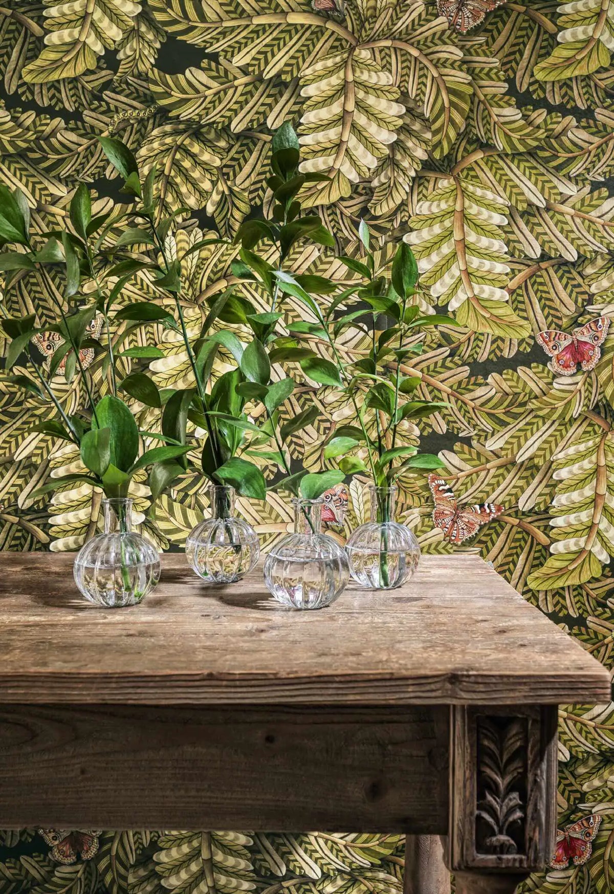Acacia Canopy Wallpaper Ardmore Design