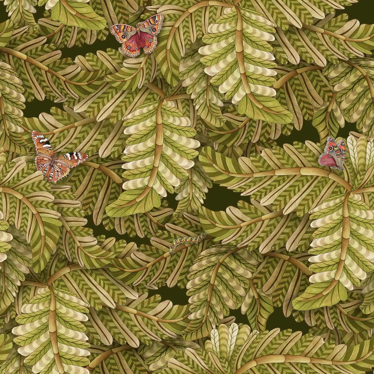 Acacia Canopy Wallpaper Ardmore Design