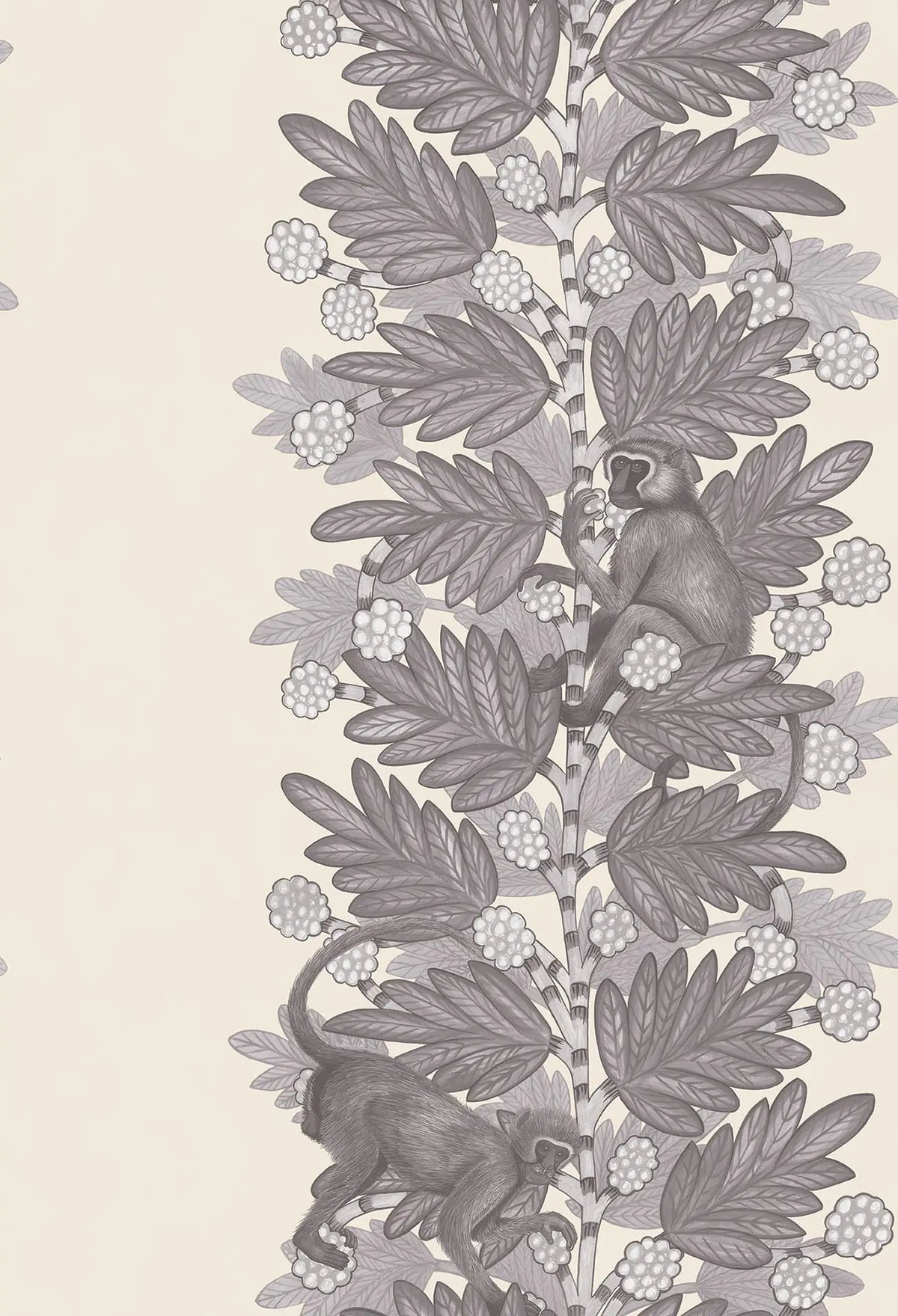 Acacia Wallpaper Ardmore Design