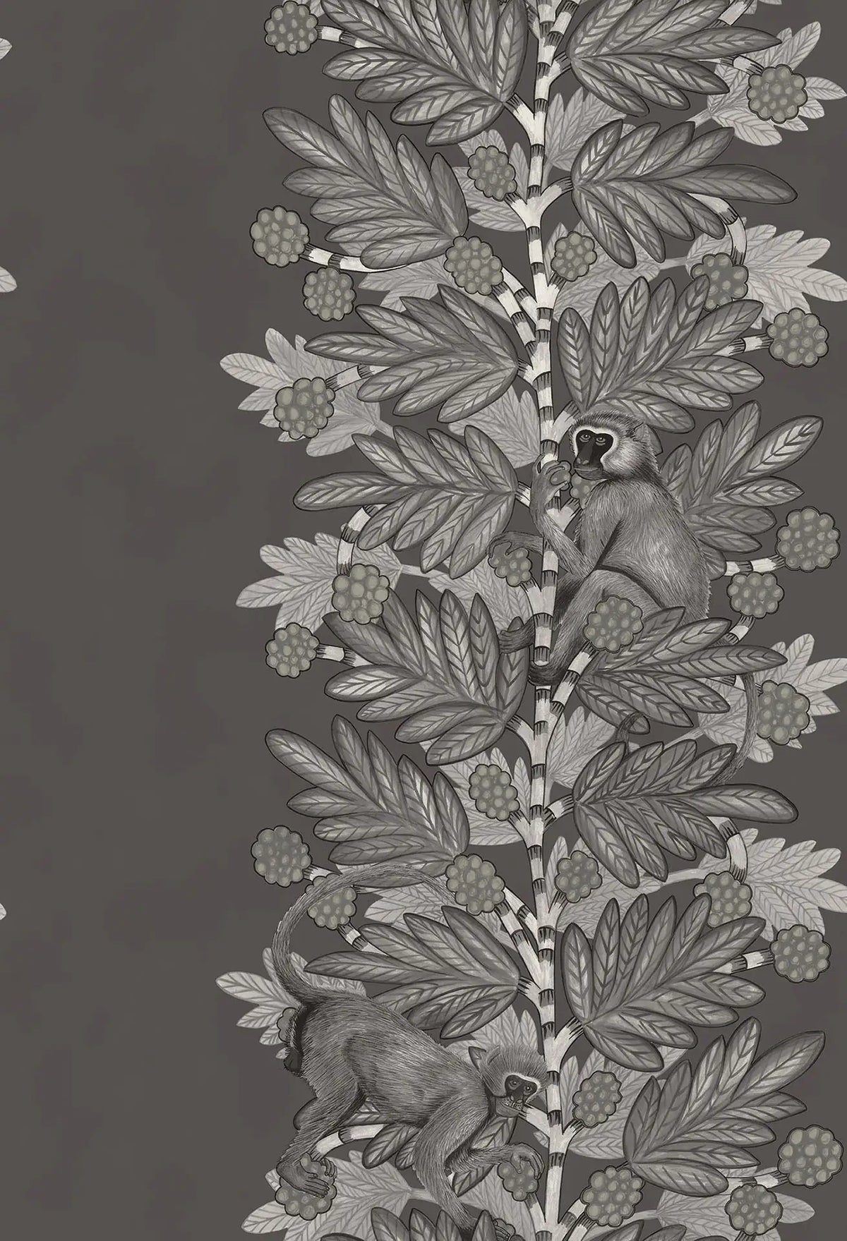 Acacia Wallpaper Ardmore Design