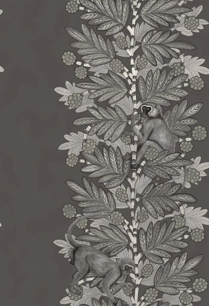 Acacia Wallpaper Ardmore Design