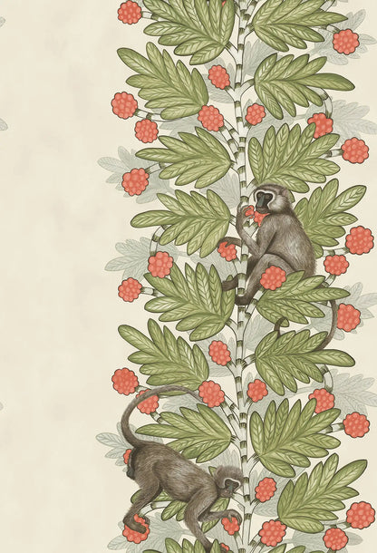 Acacia Wallpaper Ardmore Design