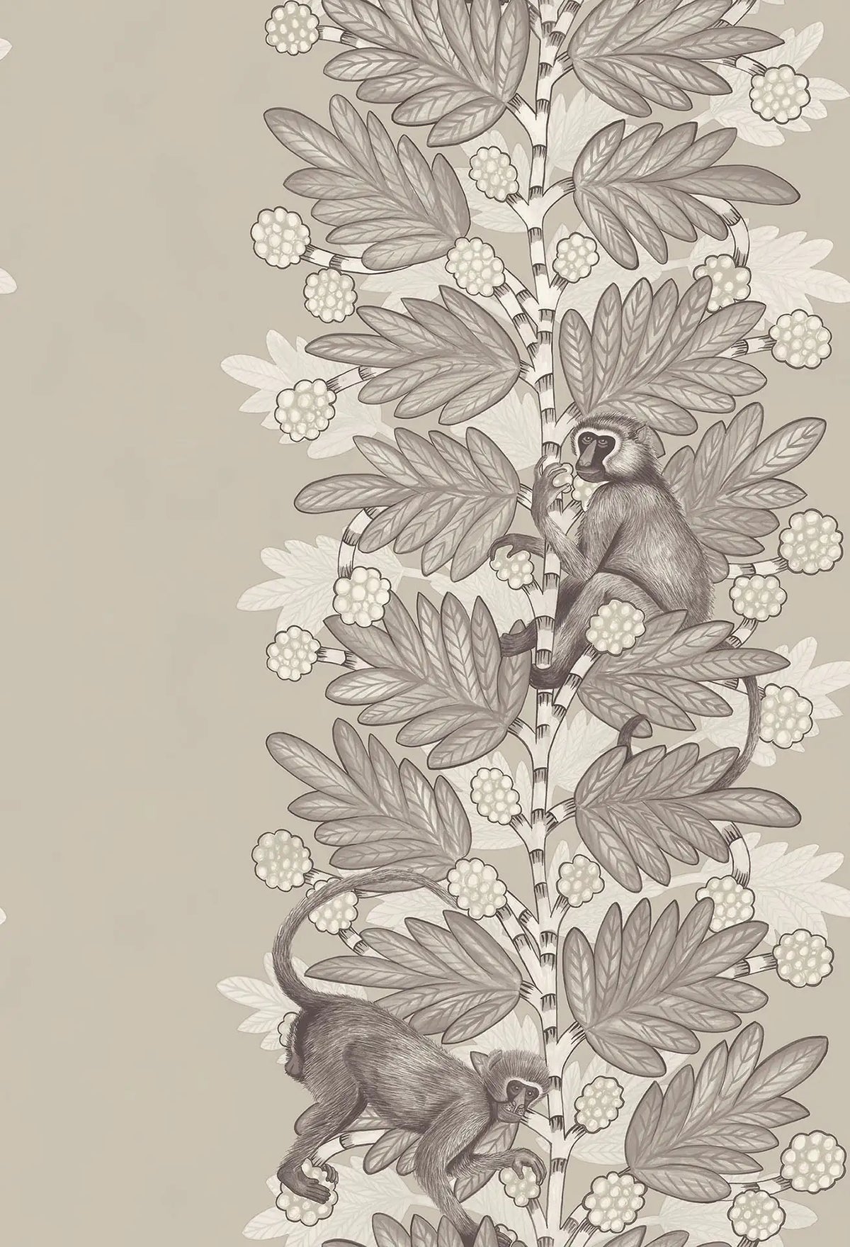 Acacia Wallpaper Ardmore Design