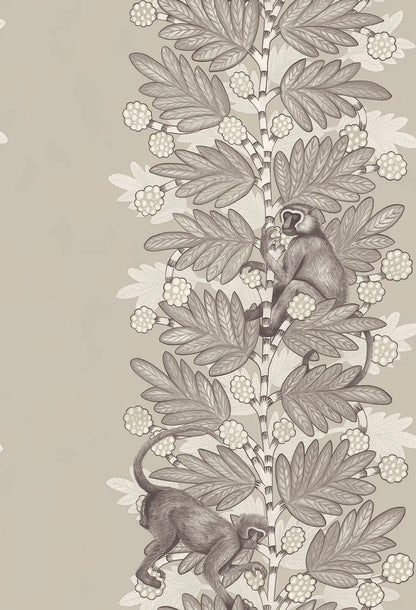 Acacia Wallpaper Ardmore Design
