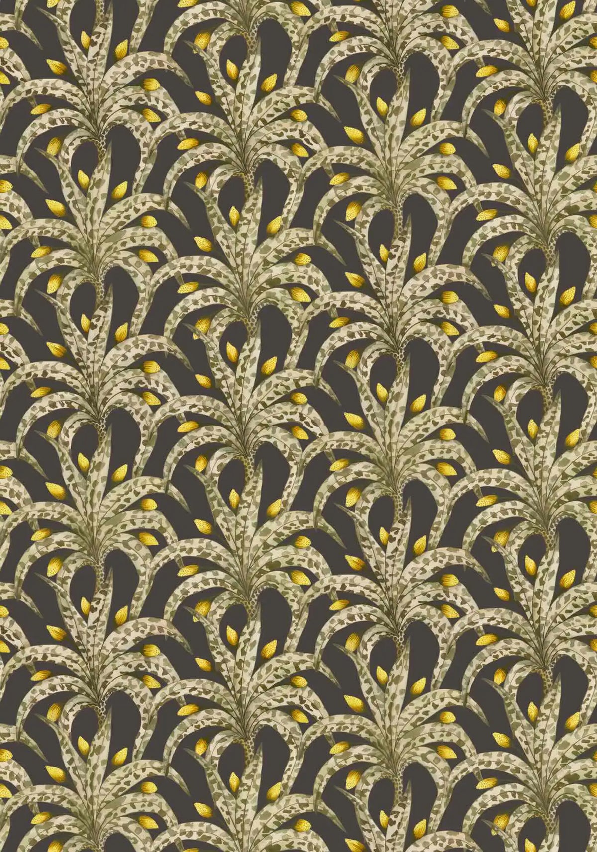 Afrika Damask Wallpaper Ardmore Design
