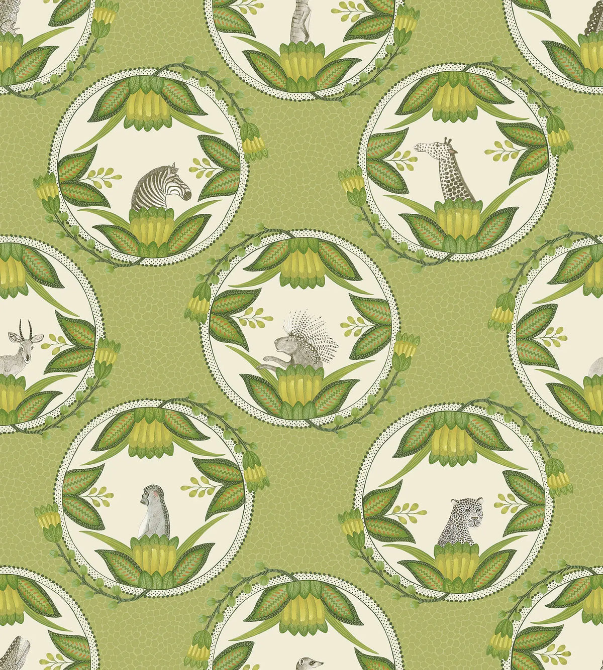 Ardmore Cameos Wallpaper Ardmore Design