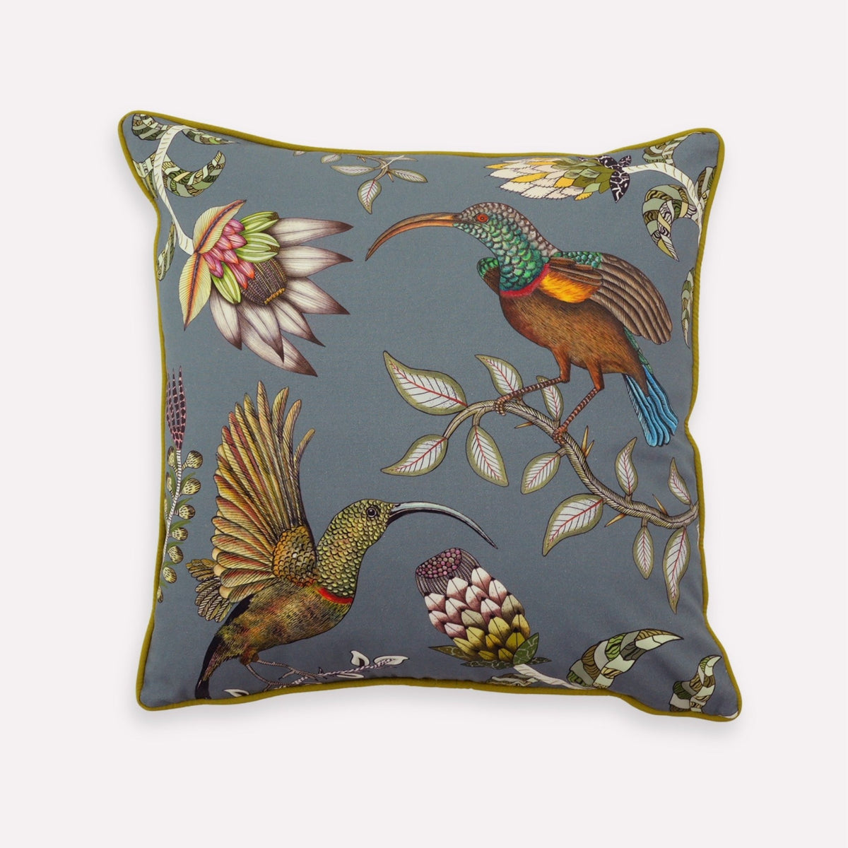 Protea Garden Ash Cotton Cushion Cover
