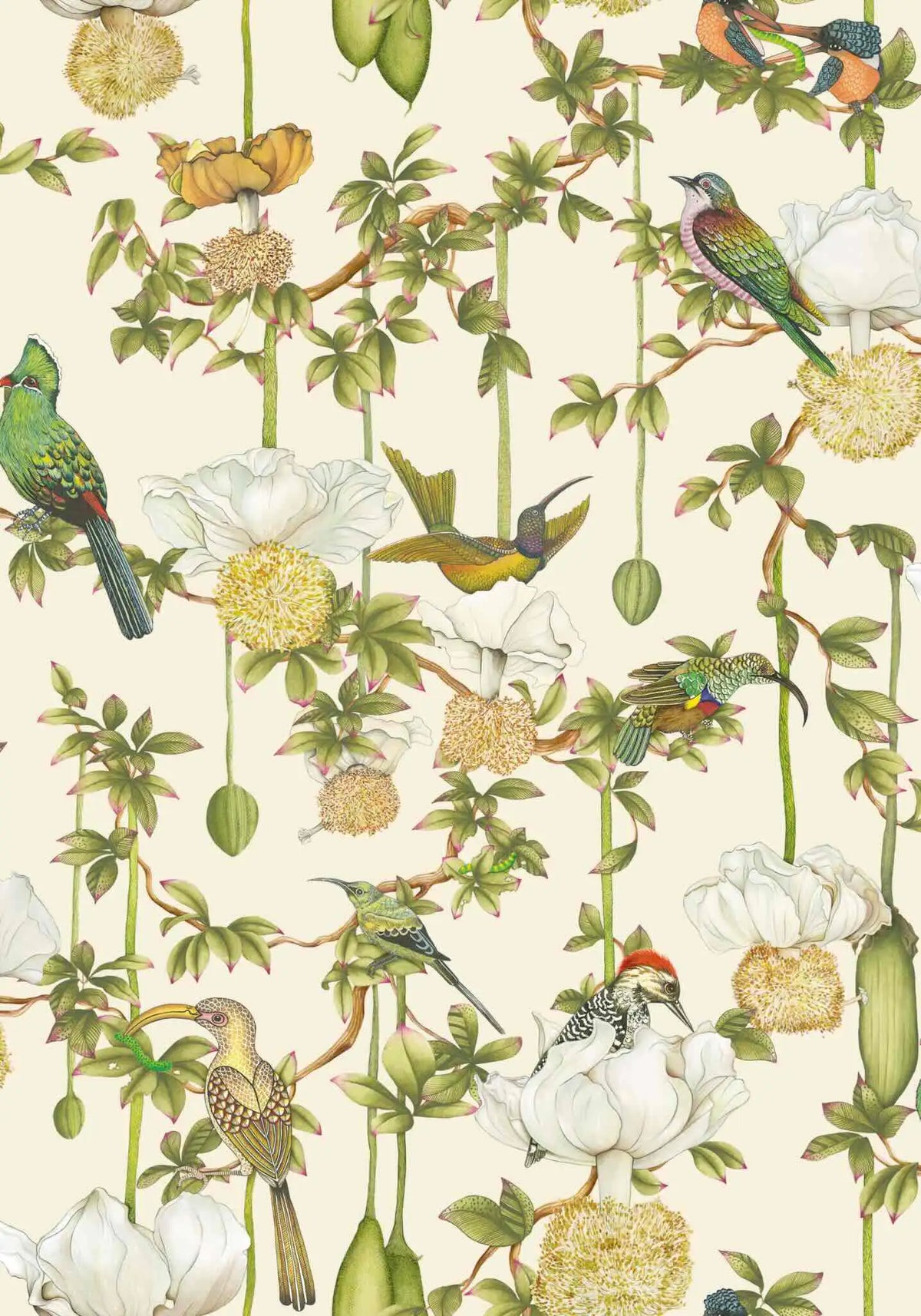 Baobab Botanica Wallpaper Ardmore Design