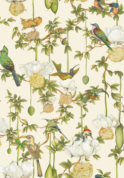 Baobab Botanica Wallpaper Ardmore Design