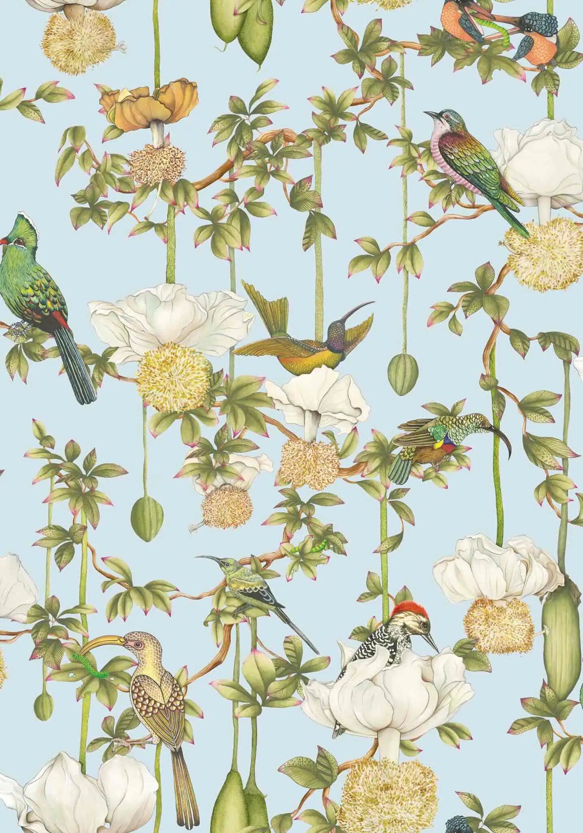 Baobab Botanica Wallpaper Ardmore Design