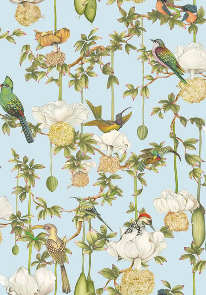 Baobab Botanica Wallpaper Ardmore Design