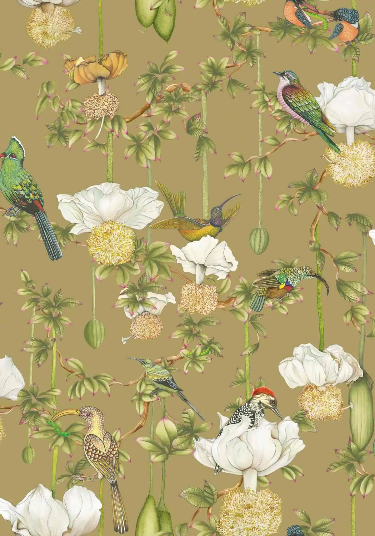 Baobab Botanica Wallpaper Ardmore Design