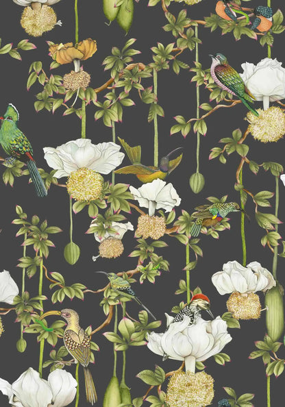 Baobab Botanica Wallpaper Ardmore Design