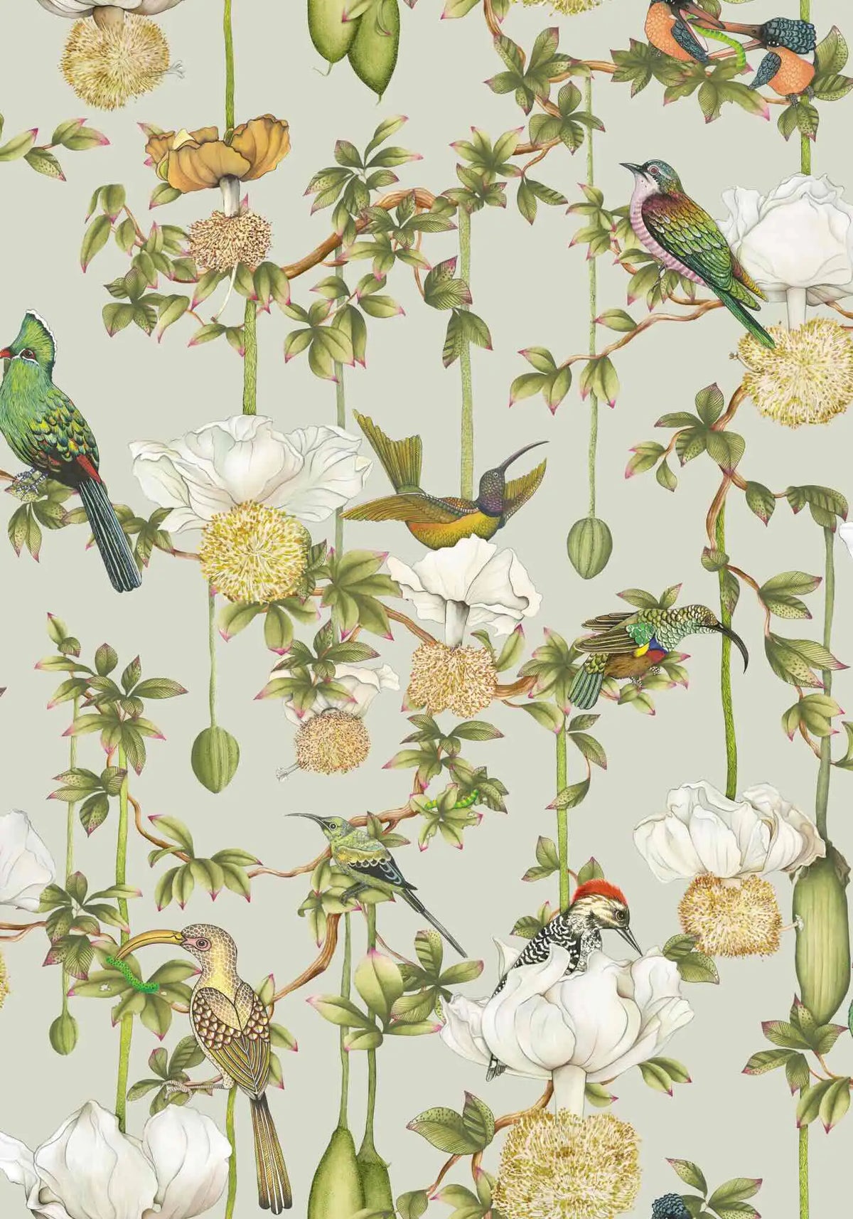 Baobab Botanica Wallpaper Ardmore Design