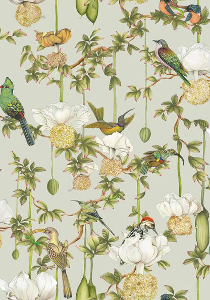 Baobab Botanica Wallpaper Ardmore Design