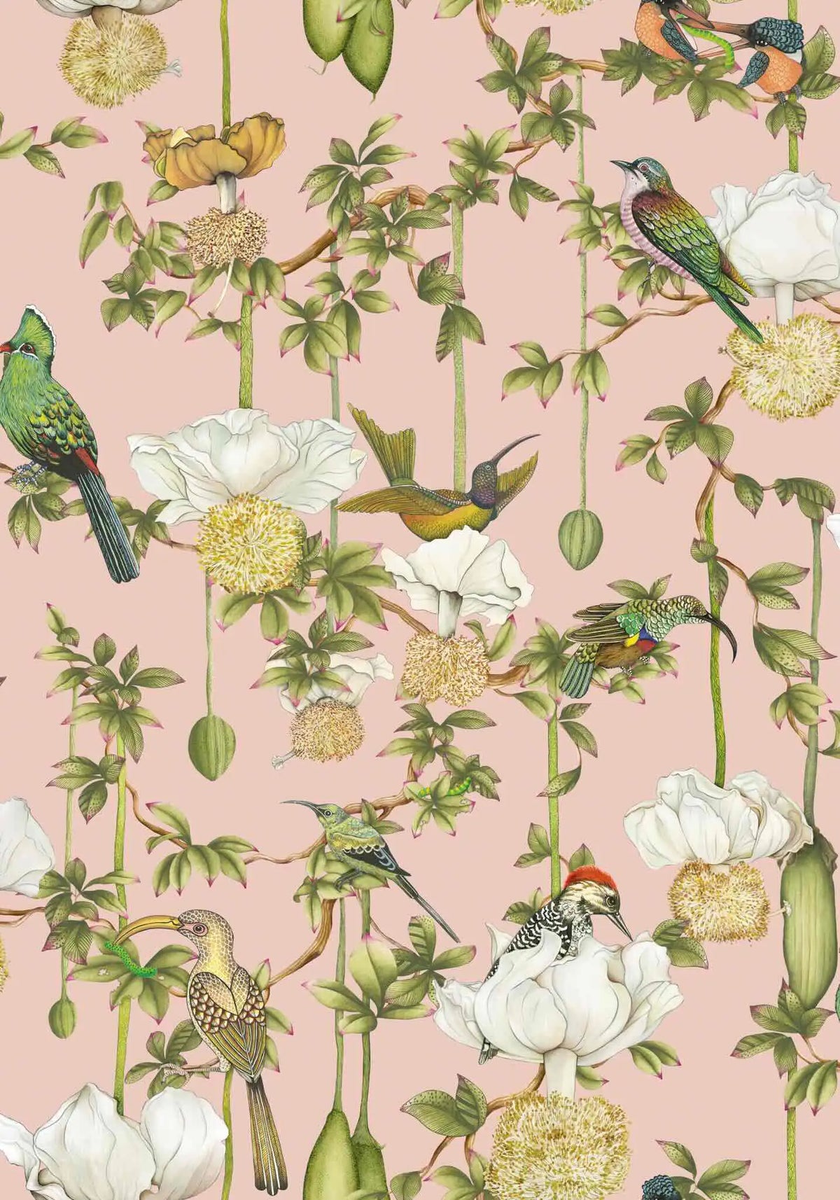 Baobab Botanica Wallpaper Ardmore Design