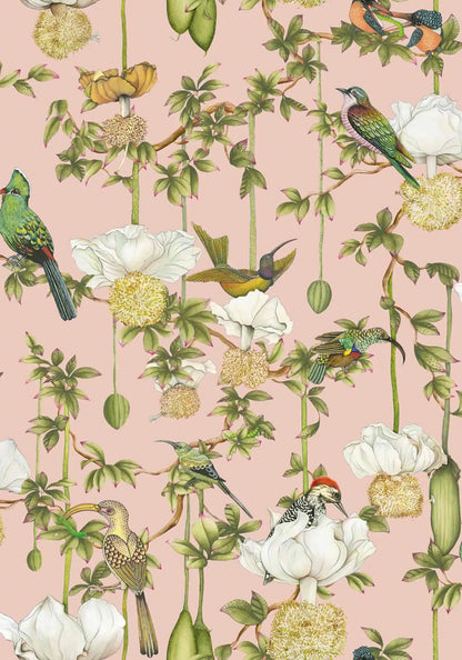 Baobab Botanica Wallpaper Ardmore Design