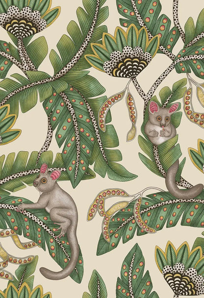 Bush Baby Wallpaper Ardmore Design