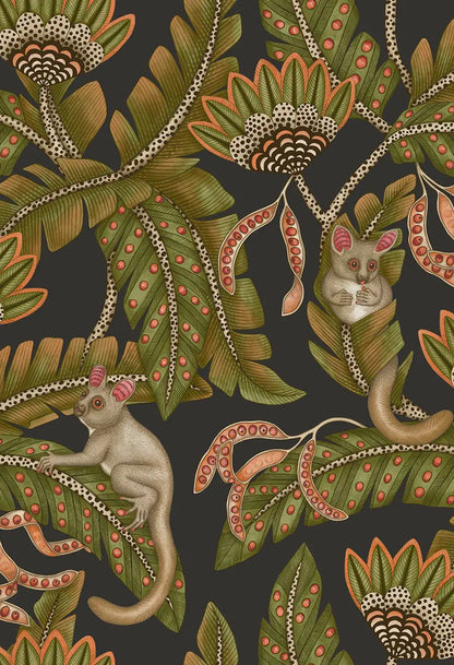 Bush Baby Wallpaper Ardmore Design