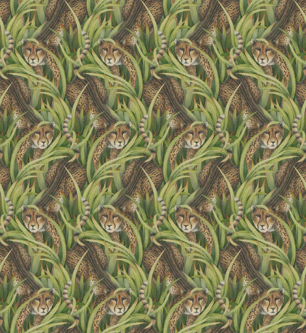Cheetah Prowl Wallpaper Ardmore Design