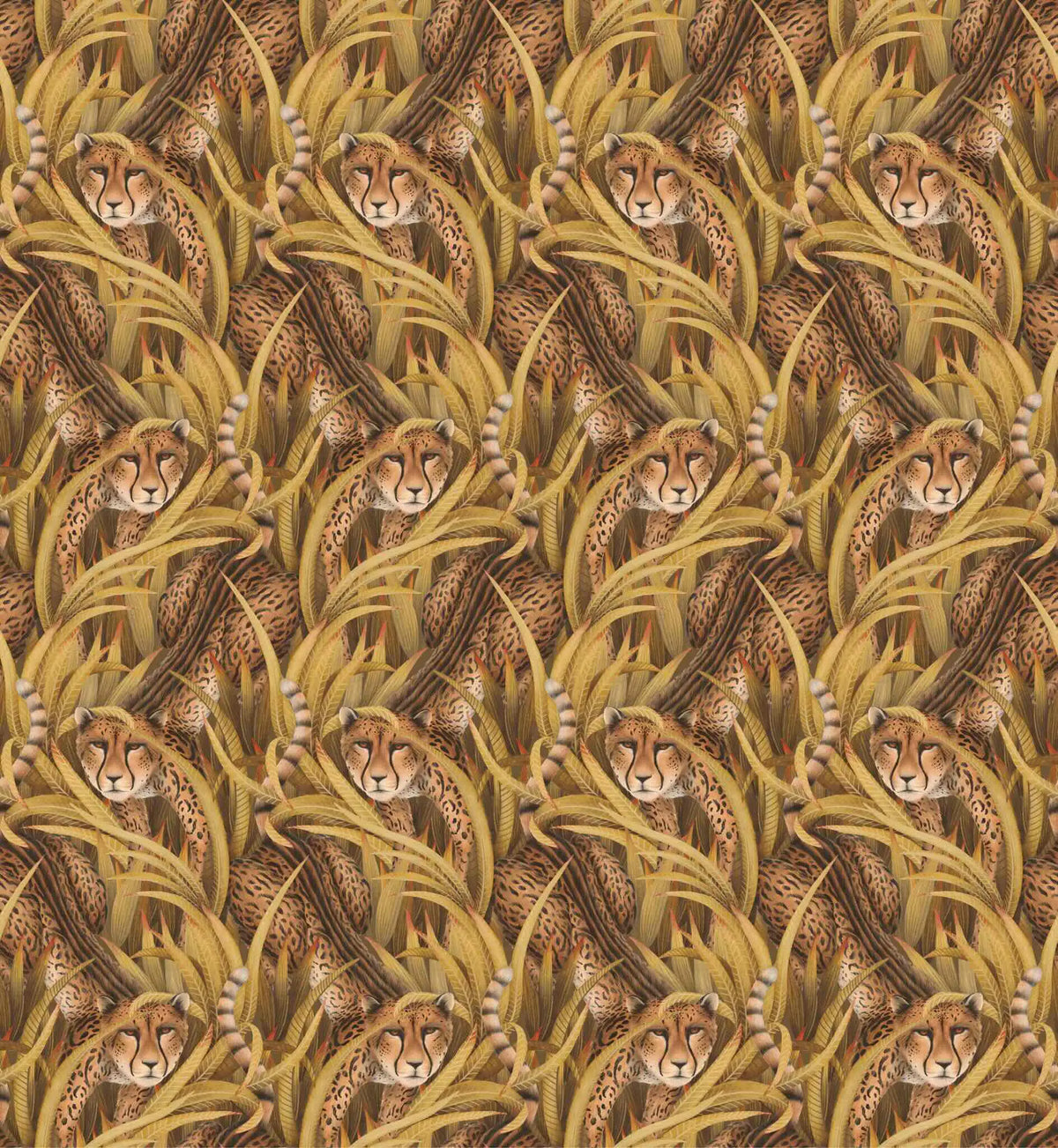 Cheetah Prowl Wallpaper Ardmore Design