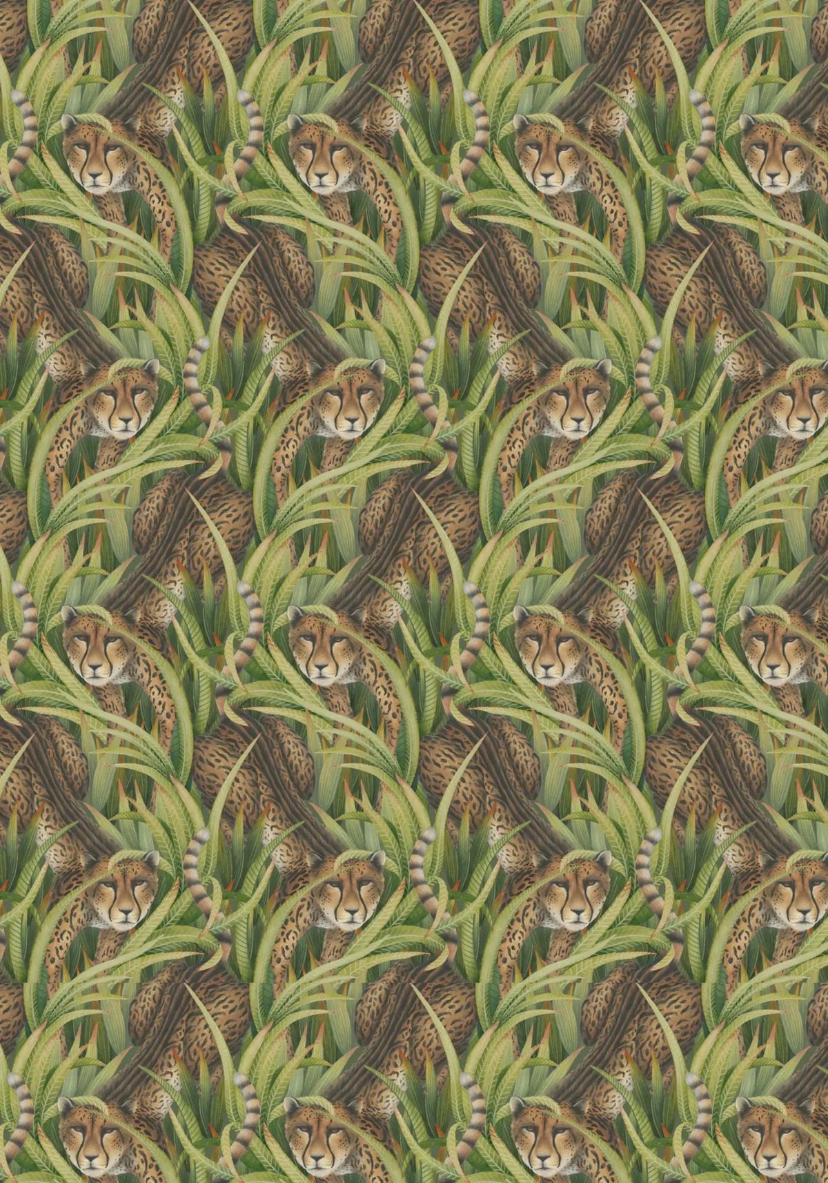 Cheetah Prowl Wallpaper Ardmore Design