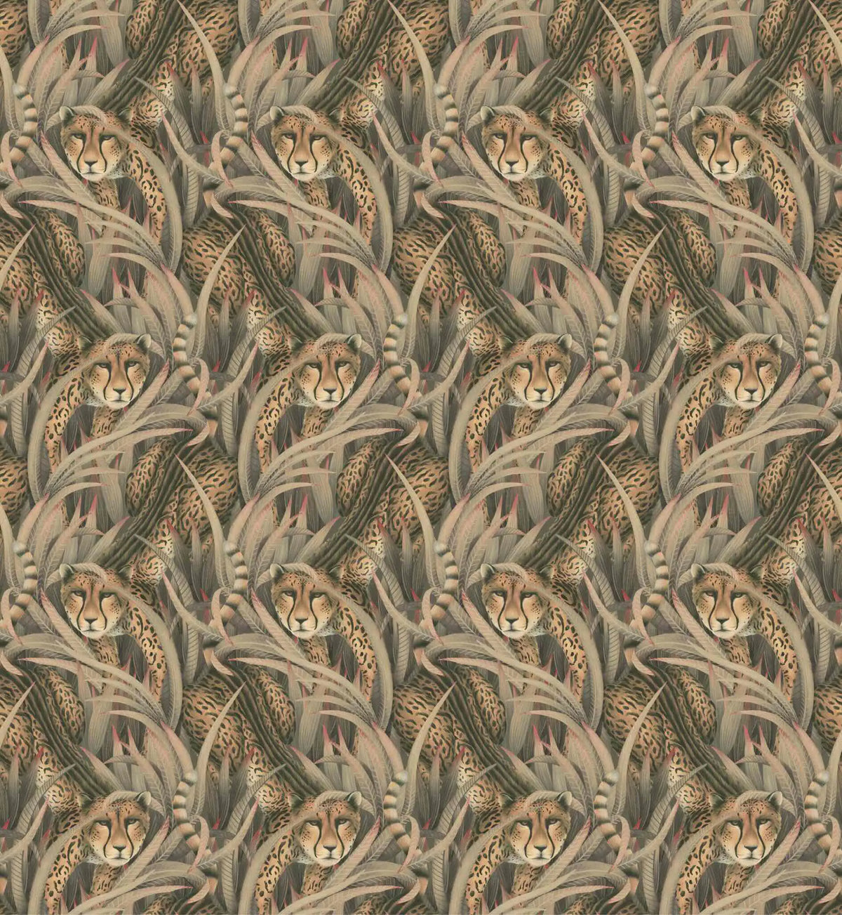 Cheetah Prowl Wallpaper Ardmore Design