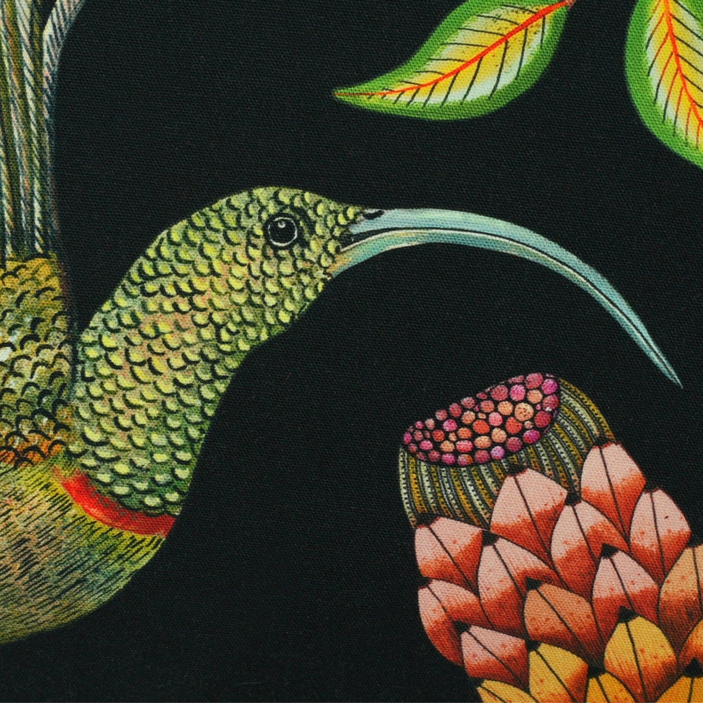 Protea Garden Night Cotton Cushion Cover