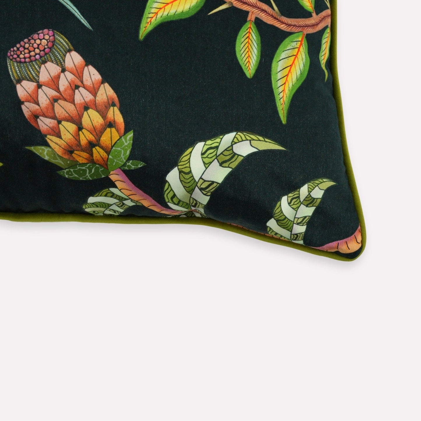 Protea Garden Night Velvet Cushion Cover