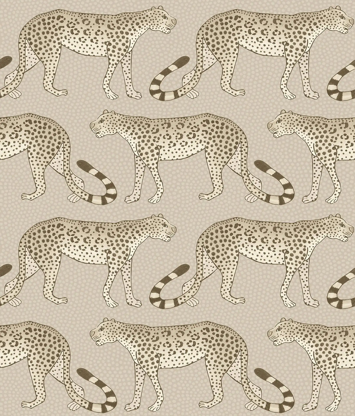 Leopard Walk Wallpaper Ardmore Design