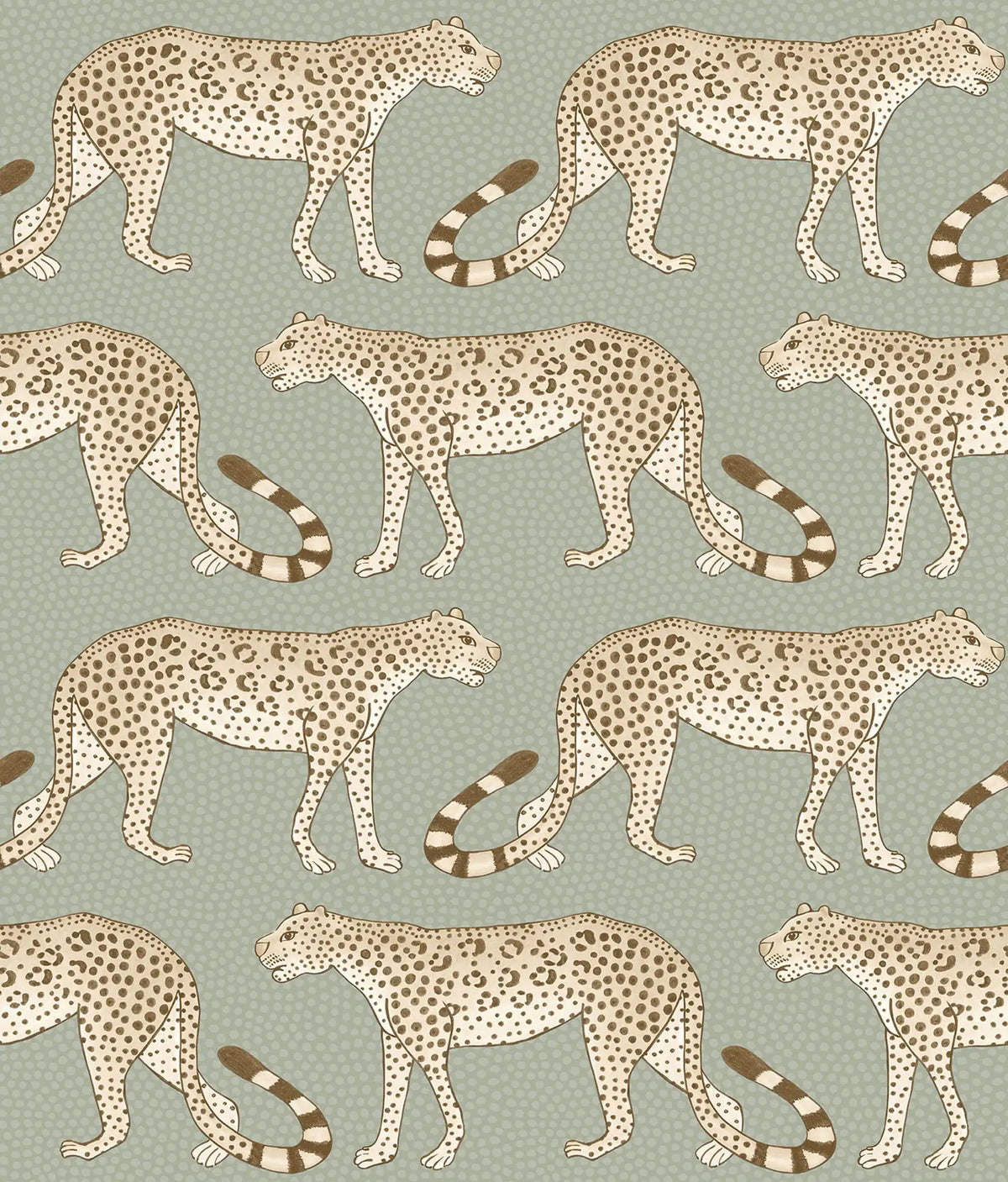 Leopard Walk Wallpaper Ardmore Design