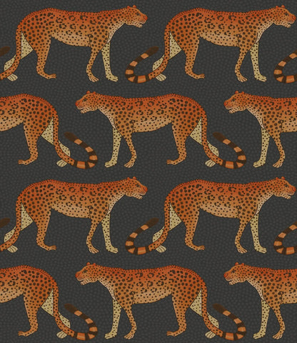 Leopard Walk Wallpaper Ardmore Design