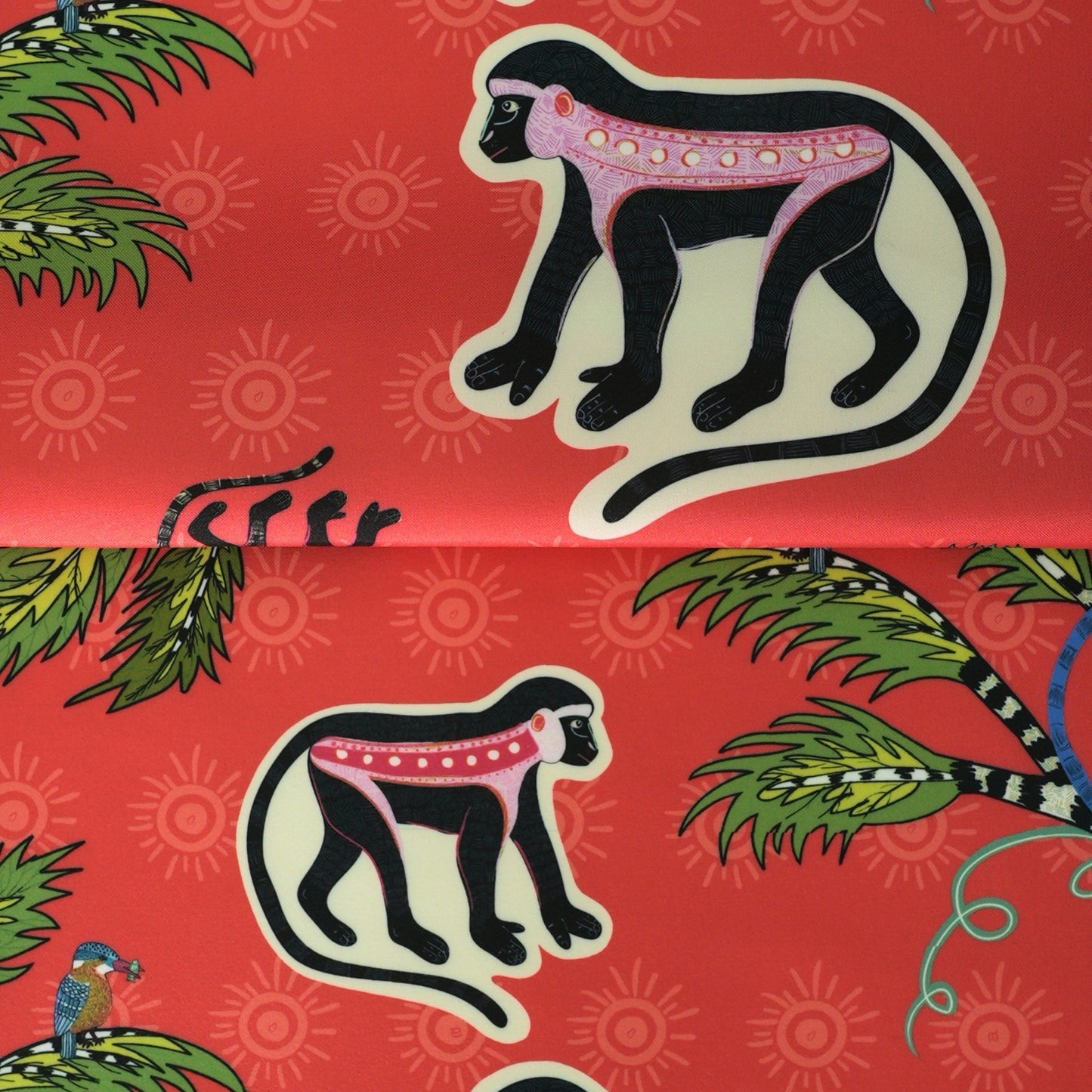 Monkey Palm Outdoor in Sunset