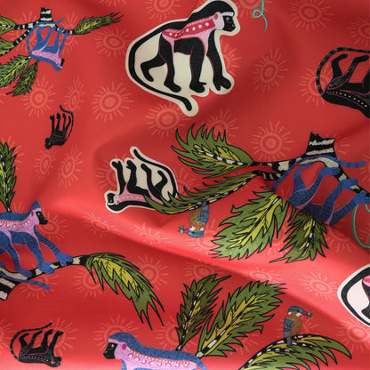 Monkey Palm Outdoor in Sunset