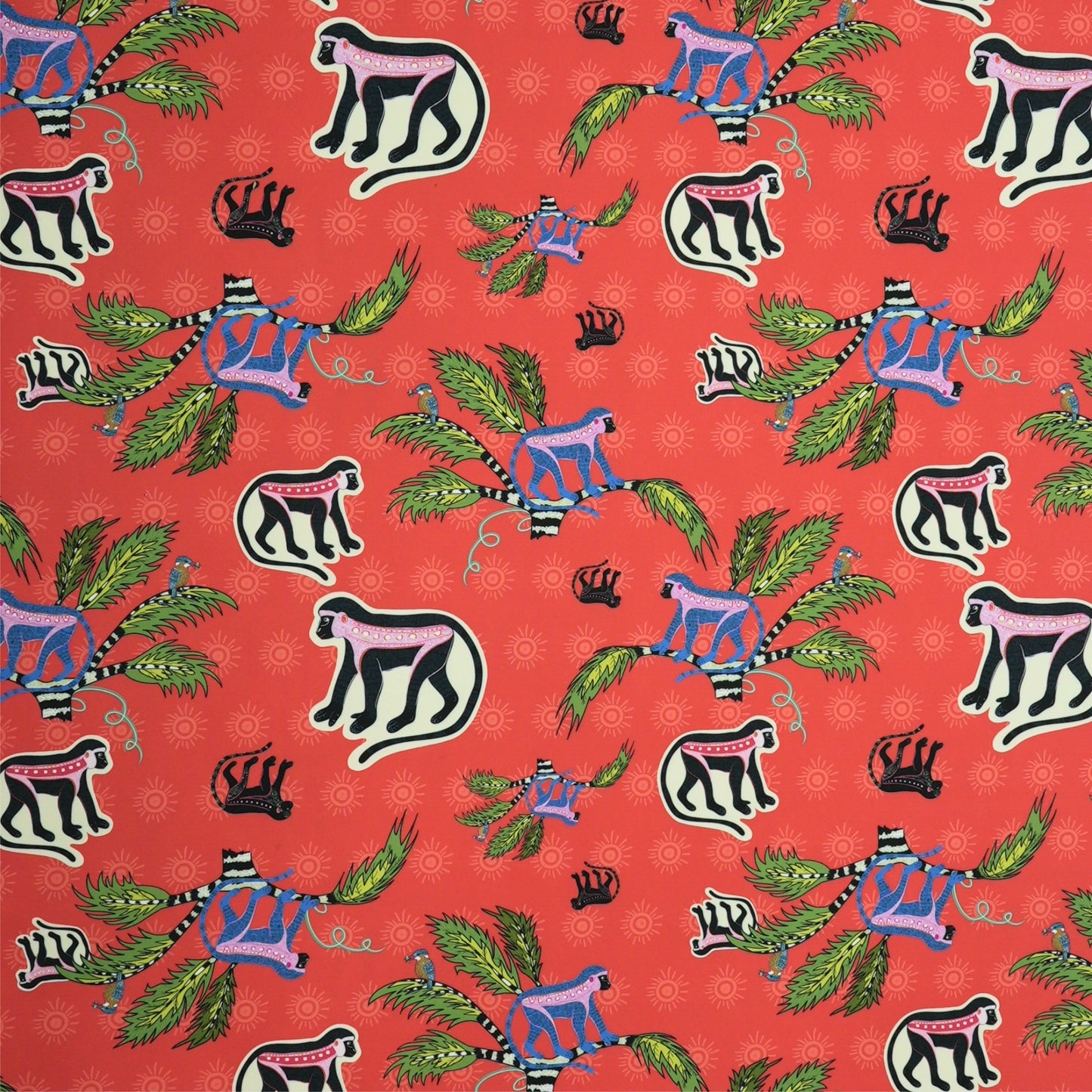 Monkey Palm Outdoor in Sunset