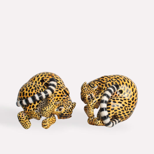 Genet Cat Salt and Peppers