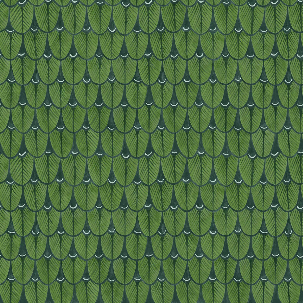 Narina Wallpaper Ardmore Design